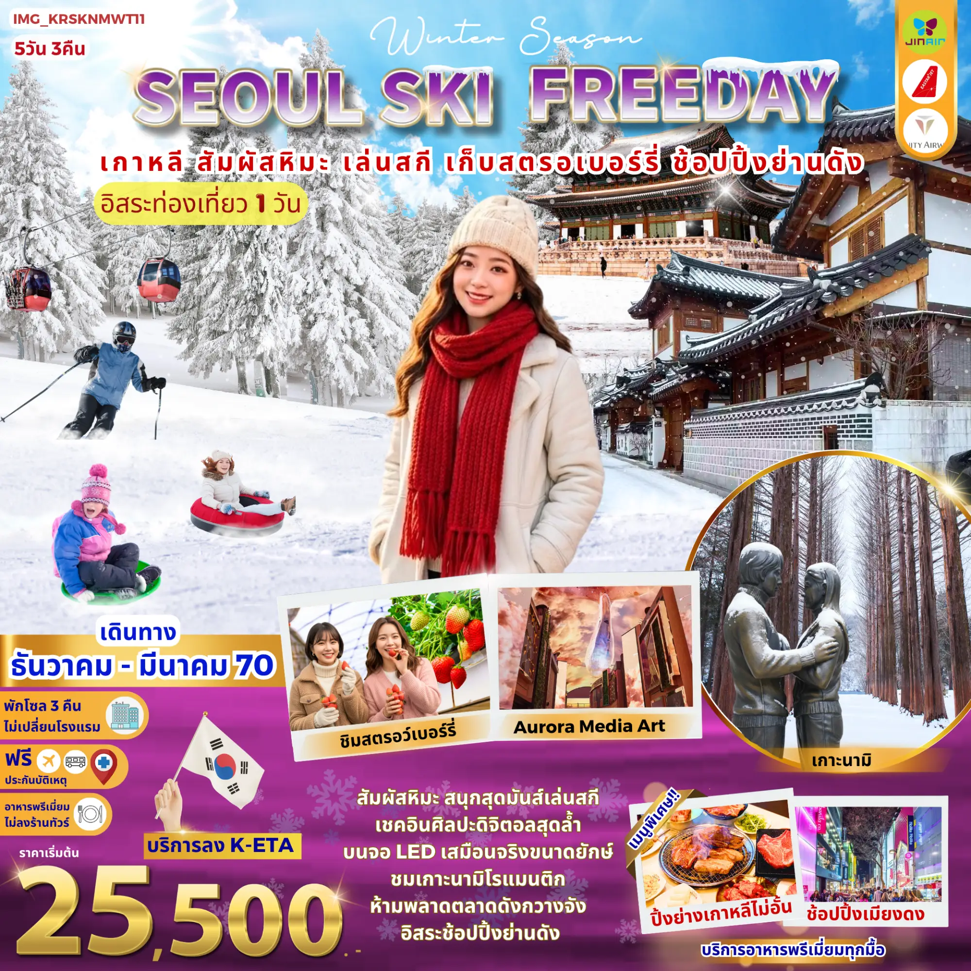 เกาหลี Seoul Ski Freeday เล่นสกี เกาะนามิ เก็บสตรอว์เบอร์รี่ อิสระ 1 วัน (พักโซล 3 คืน)